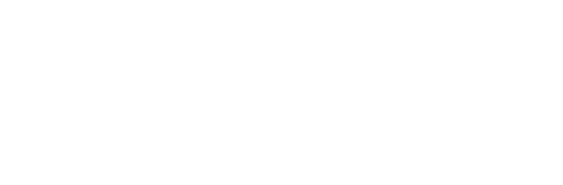 CHIP
